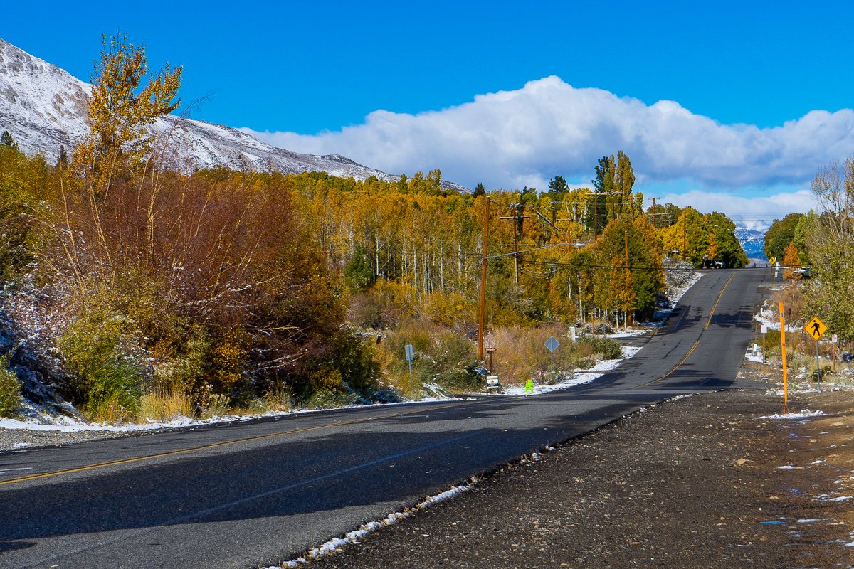 CalifFallColor's tweet image. Wide, empty streets and peak #fallcolor are being sen in Crowley Lake, #California as reported on CaliforniaFallColor.com #autumn #autumnleaves #autumnwatch #autumnfalls #fall #autumnvibes #fallcolors #landscapephotography #foliage @EasternSierra @visitmammoth @VisitCA