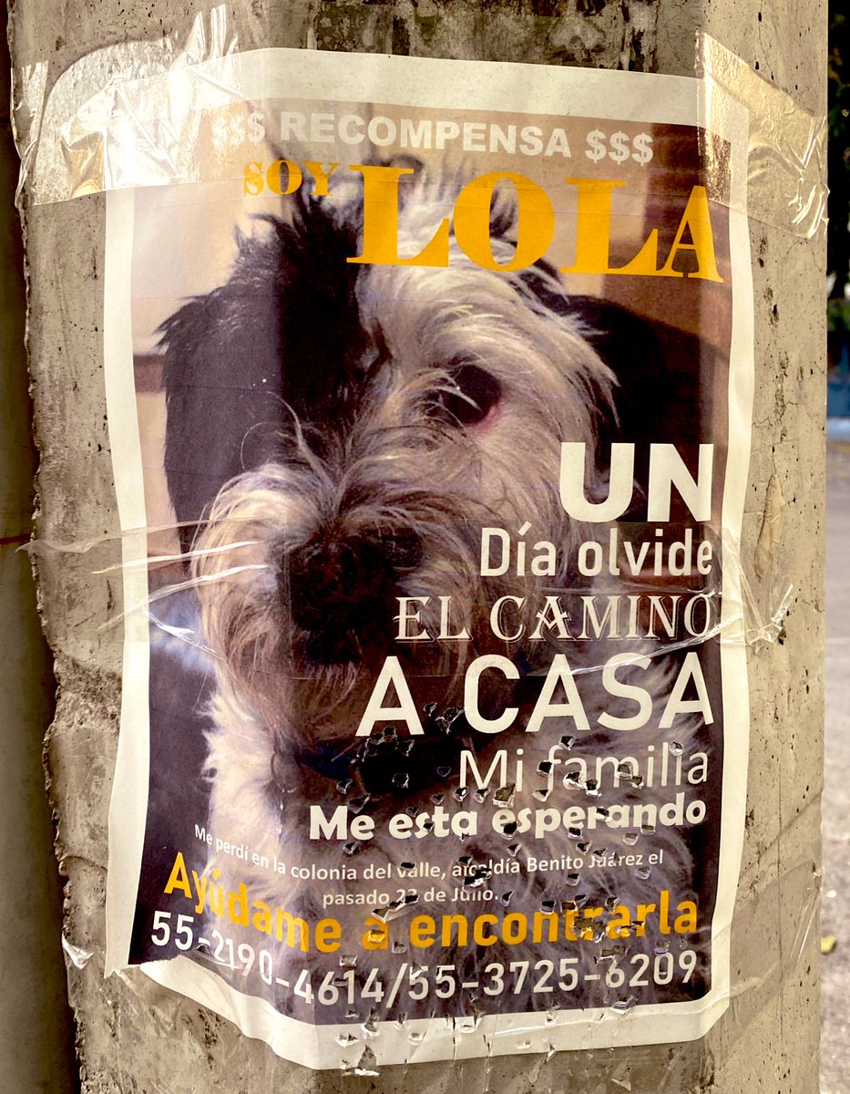 José Antonio ★ tweet media