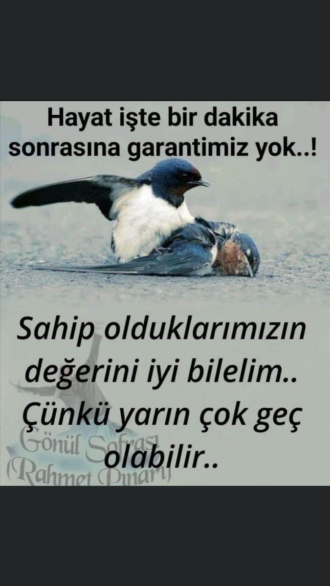 Ali (@alialikutlu1) on Twitter photo 