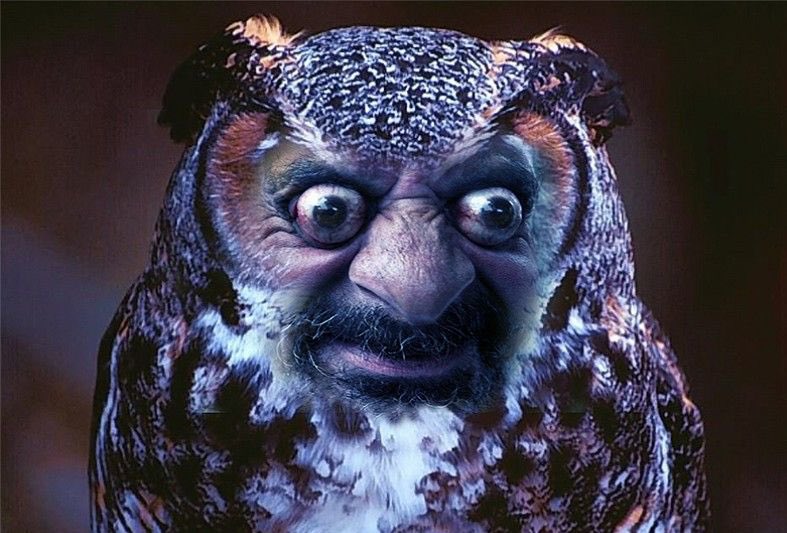 hurt_stone_'s tweet photo. @NotQuackity_ Someone like u in my ass 🦧 https://t.co/aFMxkWN5CQ