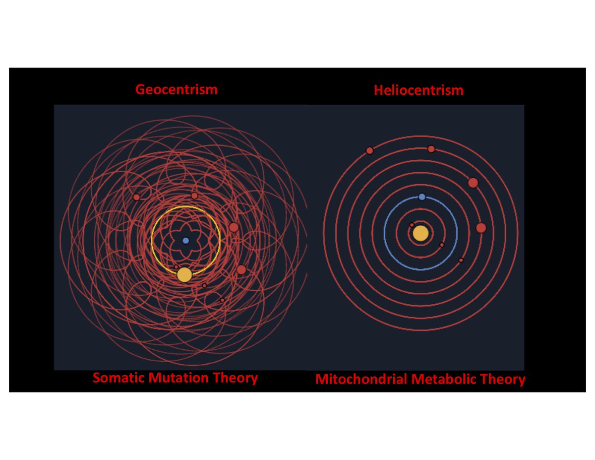 Thomas N. Seyfried tweet media