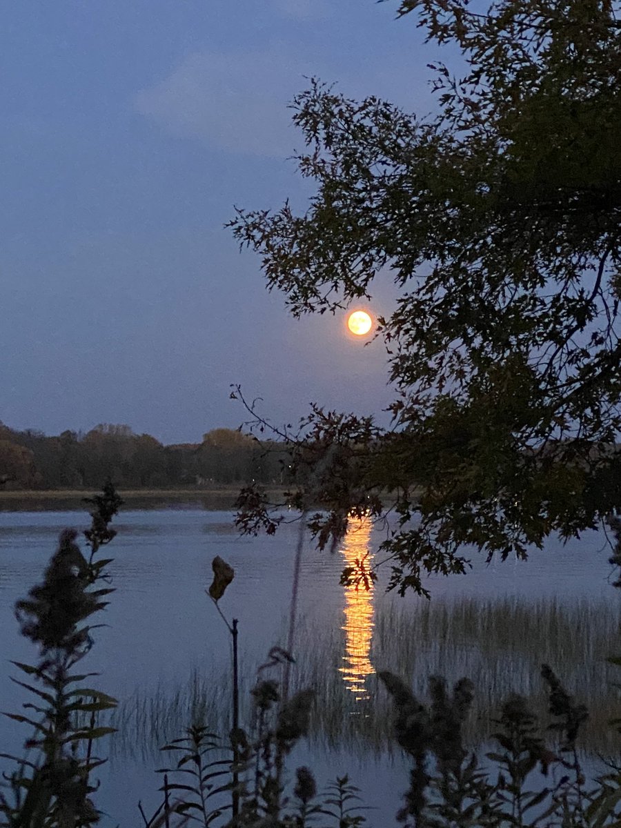 juliaschrenkler's tweet photo. This has been an amazing fall day and even the moon is in on the glory of it all
#outsideinmn https://t.co/wgi7Rw9KDU