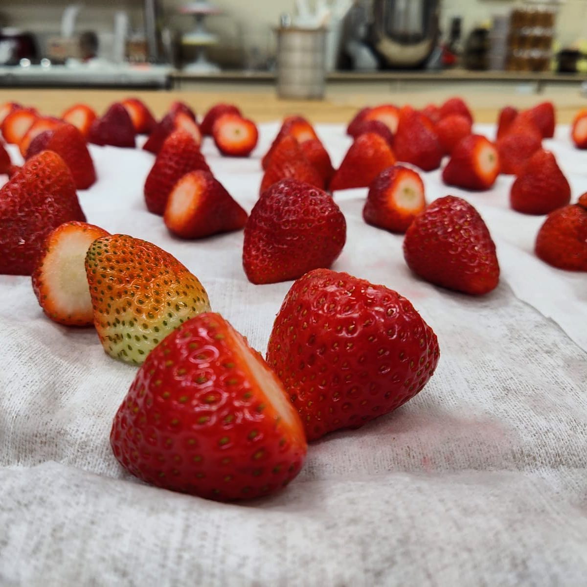 oregonkosher's tweet image. Did you know? Strawberries 🍓 require checking. We checked some today at safeway off Barbur Blvd! Take a guess and tell us how you would do a proper bug check in the comments! #bugcheck #strawberry #kosher