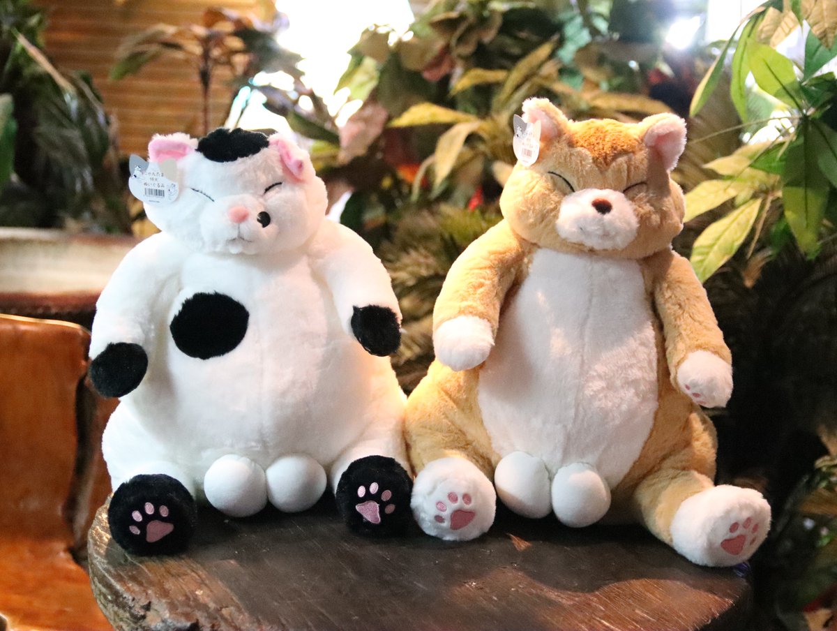 大きいよ！ 「にゃんたま特大ぬいぐるみ」 プライズコーナーに登場し