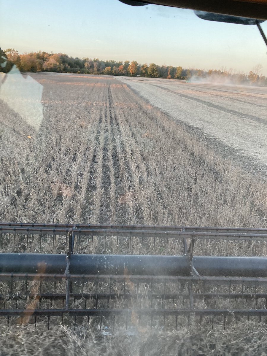 BrickgirLeanne's tweet photo. Delivered meals to the field for @AgFarmer98 ,@mark_mccowan and while waiting for @LovettCraig to get back from the mill decided to take my first combine ride of the season. https://t.co/C1sRsv5jnk