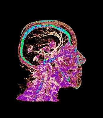 AIA_SFV's tweet photo. Tomorrow at noon: The Neurobiology of Biophilia and Spatial Cognition - https://t.co/yB0cbFzA4K https://t.co/AMoLtpGwti