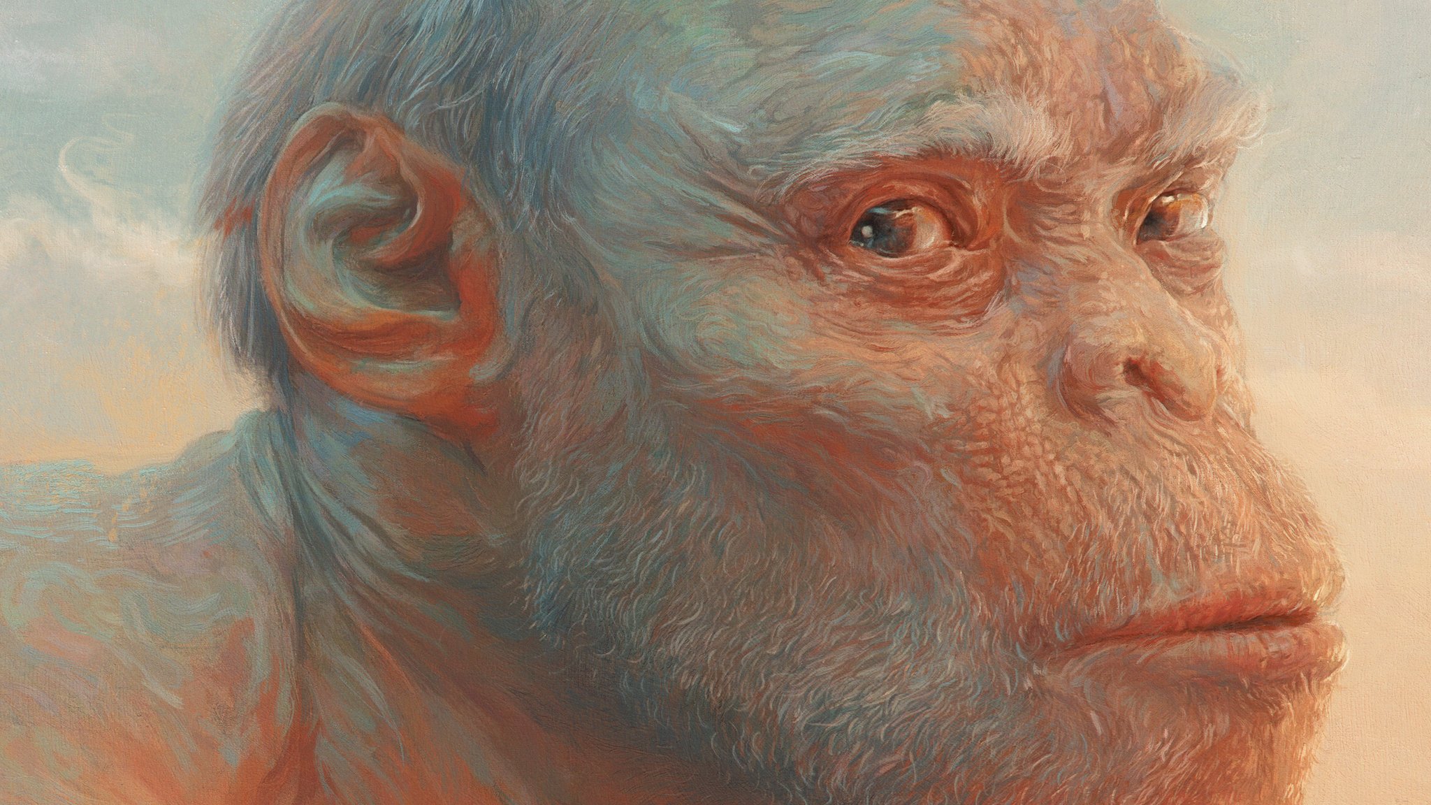 Sam Spratt on Twitter: 