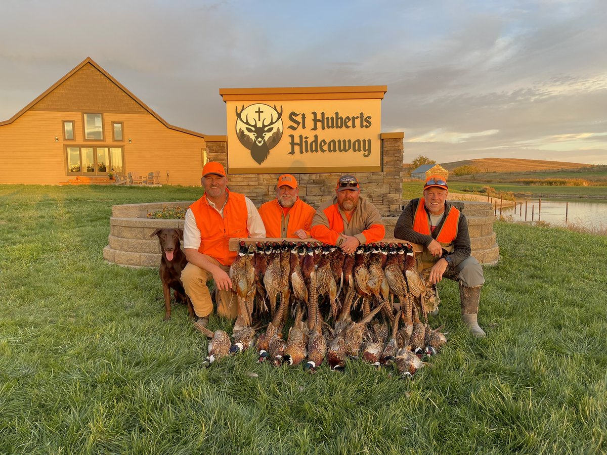 Armdady's tweet photo. Pheasant hunting in Dallas, SD #pheasants #uplandshooting #sthubertshideaway #SouthDakota #pheasantsunlimited https://t.co/AGgil4HePA