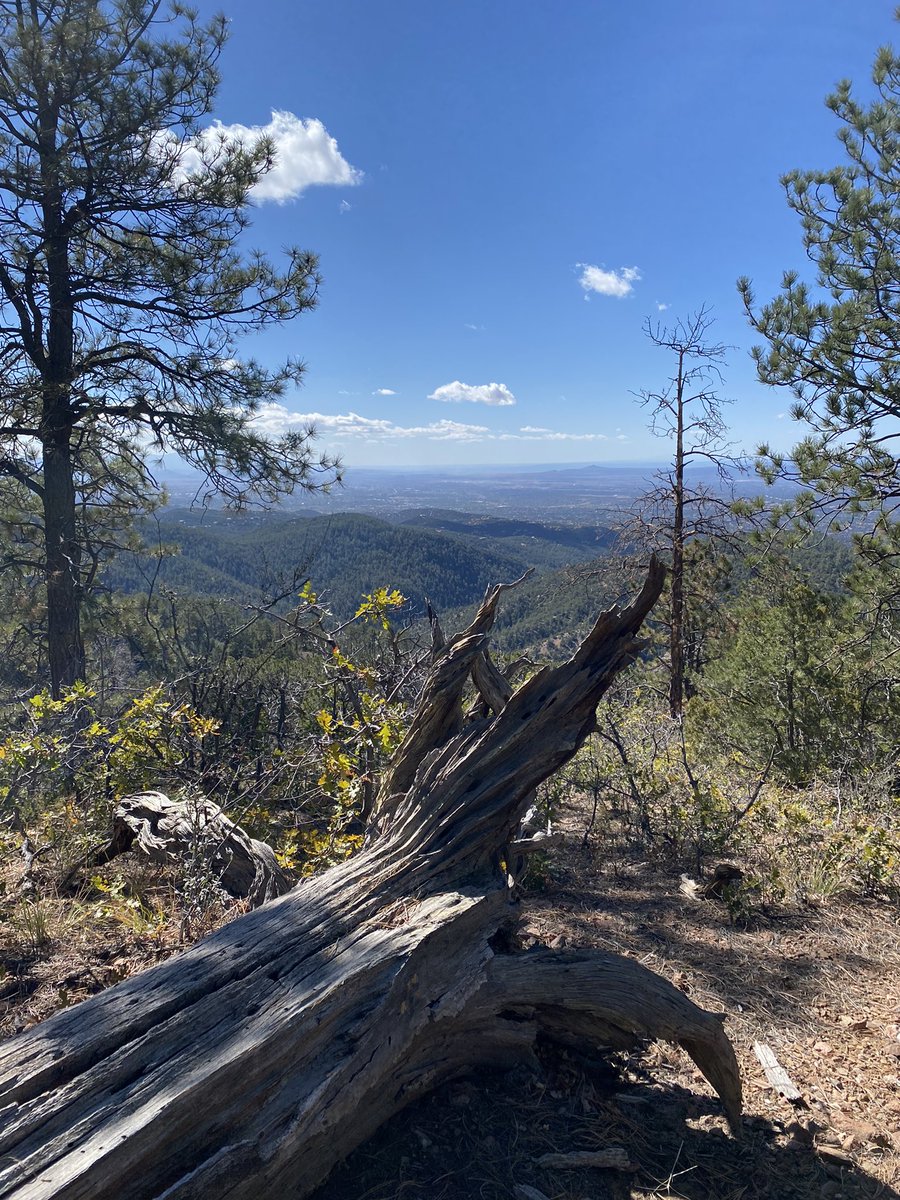 tammydavis8's tweet photo. Took a walk on the wild side .. well a hike actually #mountainlife #mentalpause #metime https://t.co/1x4iVmXfBb