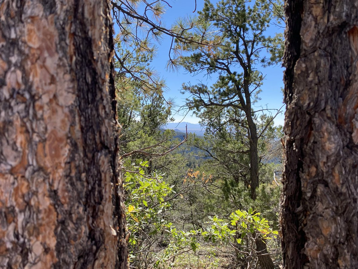 tammydavis8's tweet photo. Took a walk on the wild side .. well a hike actually #mountainlife #mentalpause #metime https://t.co/1x4iVmXfBb