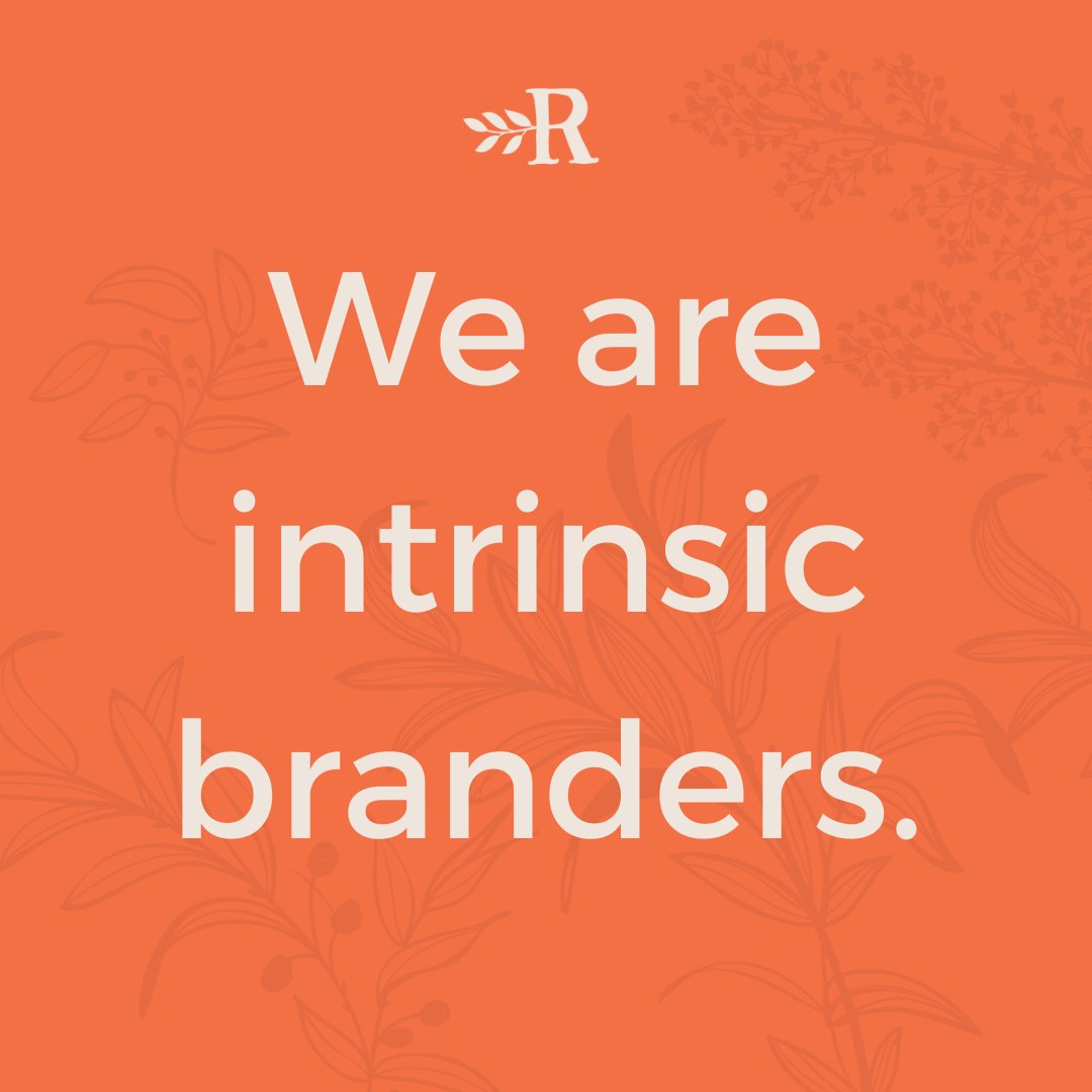 Root + River tweet media