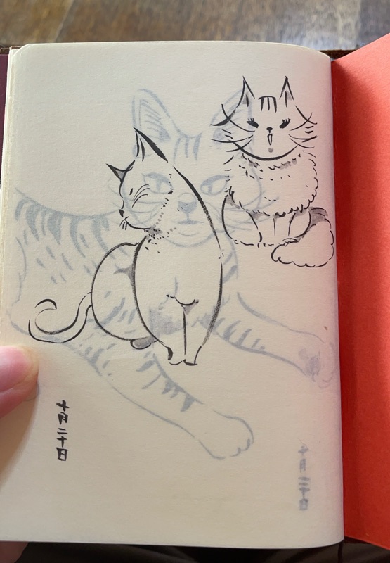おはようございます🌞
筆ペンでネコ描くのたのしい 