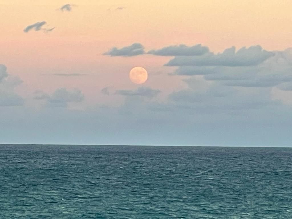 mia_astral's tweet photo. Salgan a ver la Luna https://t.co/c7kcl0E55P