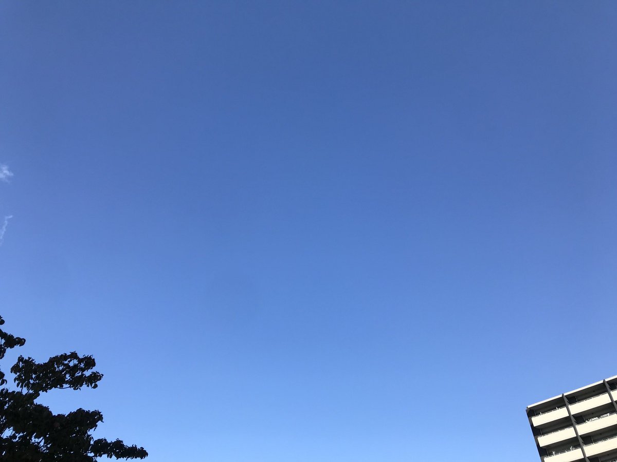 おはようございます。今朝の名古屋は気持ちの良い青空が広がっています。ヤスイ質店、今日も元気に営業してます！
yasui78.com