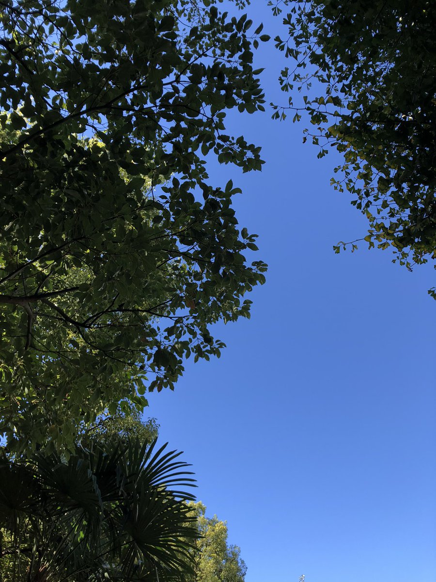 furii_jp's tweet photo. おはようございます

東京は気持ちのいい快晴になりました☀️

週の真ん中水曜日
今日も頑張りましょう👍

#企業公式が毎朝地元の天気を言い合う
#企業公式秋のフォロー祭り 
#企業公式相互フォロー
#がんばろう企業公式 https://t.co/eahUC6f1rw