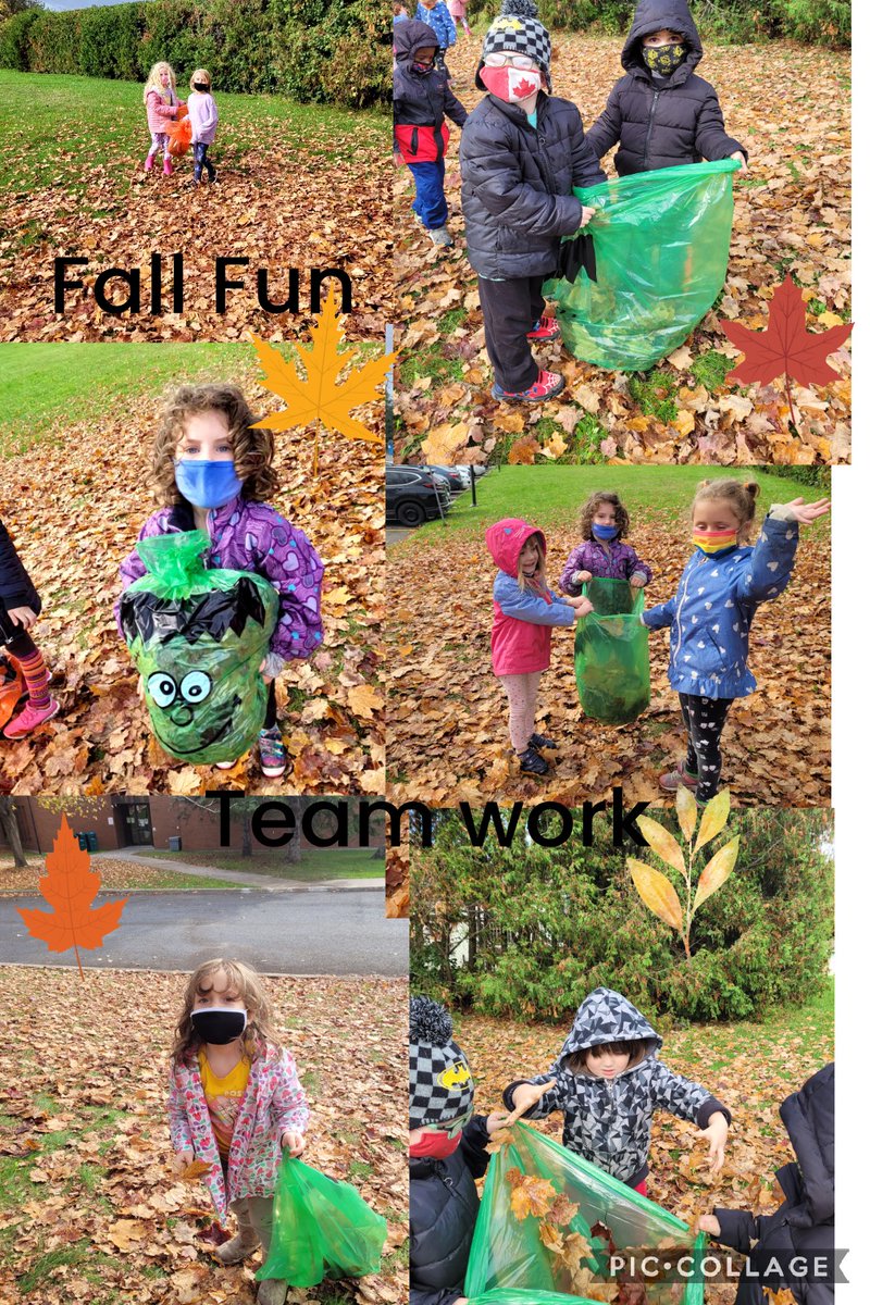 melorourke18's tweet photo. #fallFun2021 #TeamWork 
Yesterday our K3 Red birds enjoyed working together to collect leaves and fill our special Halloween bags.
@JohnPaulIIOCSB https://t.co/4T0vClizxd