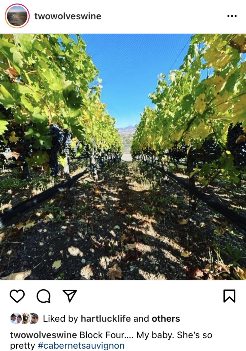 NkettesP's tweet photo. I’m so happy @Pink has her #TwoWolvesWine to help ground herself during these tough days. We’ve all got you in our thoughts @pink. https://t.co/lKKJgkh8VH