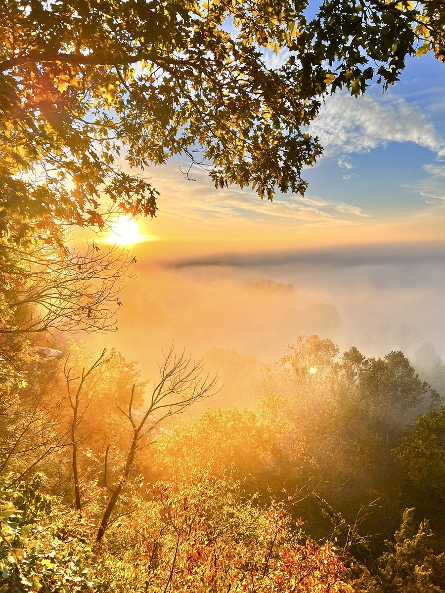 WoertherElem's tweet photo. What a beautiful morning at Castlewood Park with #WOEparentandchildhikingclub #WoertherFamily #WeAreRockwood @WoertherPE @WoertherPTO https://t.co/lXQCDk0oeJ