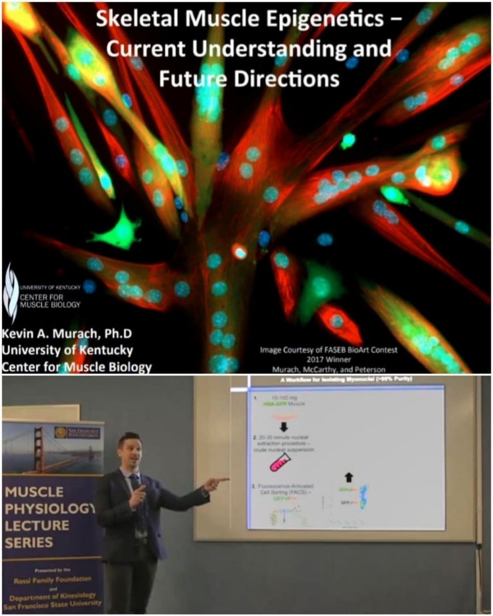 Muscle Physiology Lab tweet media