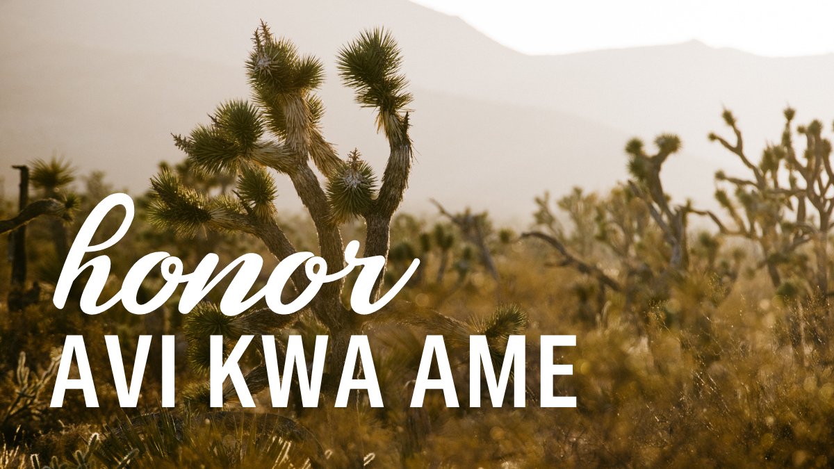 #BearsEars showed us that protecting public lands and honoring Indigenous communities can and should go hand in hand. That’s why we’re proposing the #AviKwaAme National Monument, to protect lands sacred to nearly a dozen Native American tribes. HonorAviKwaAme.org