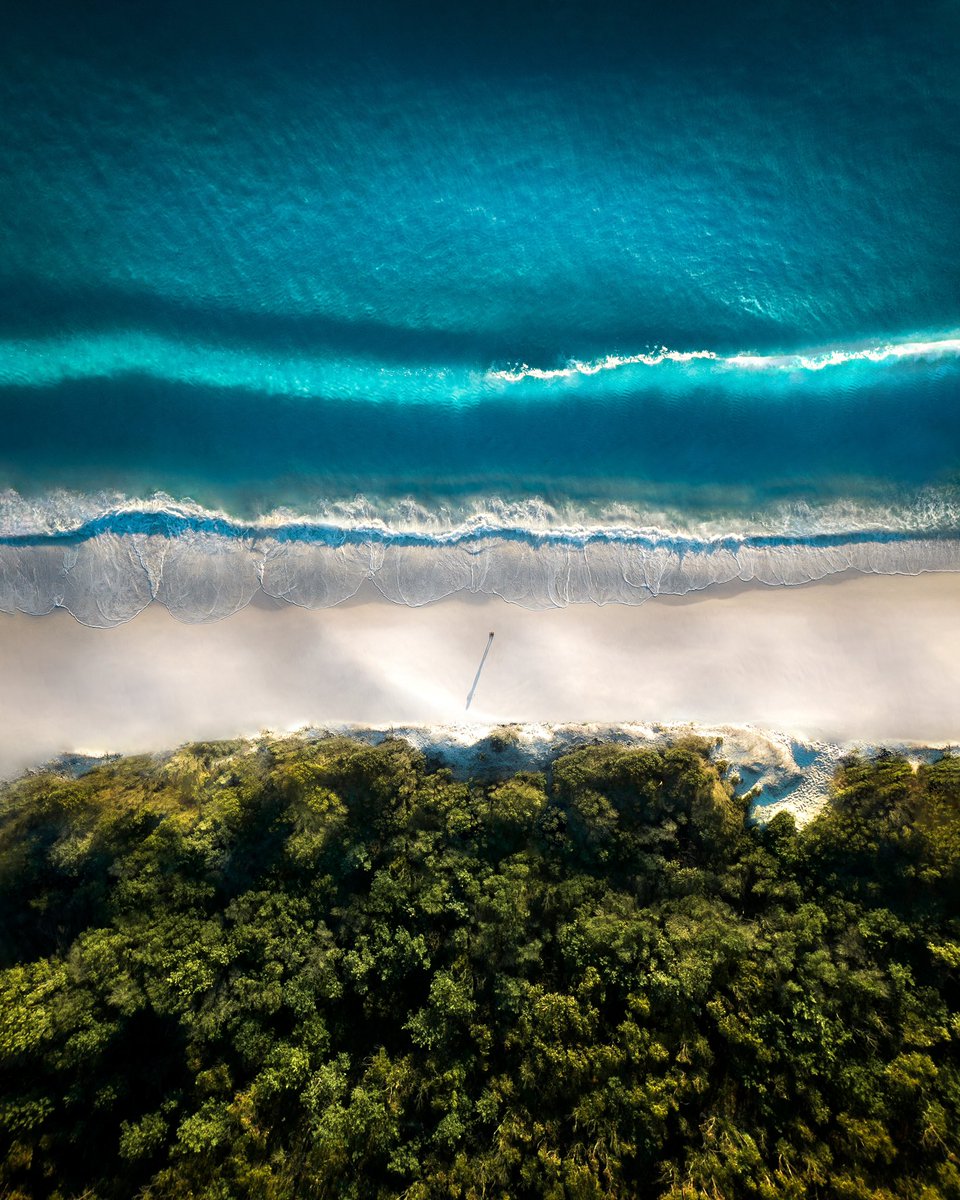 Merr Watson tweet media