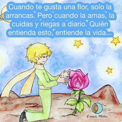 Foto de Lynn T Aguirre AF