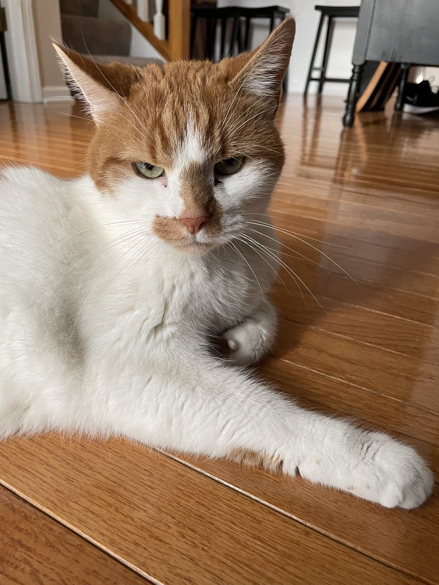 tmcchick's tweet image. My handsome boy ❤️