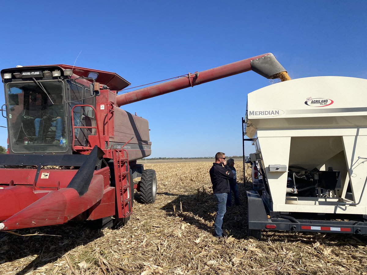 VOberbroeckling's tweet photo. Harvested a corn plot in Oskaloosa today! NK1188 was a top performer! Thanks DeBruin Farms and Agriland FS for the partnership! #NKSeed https://t.co/2win5rfqgf