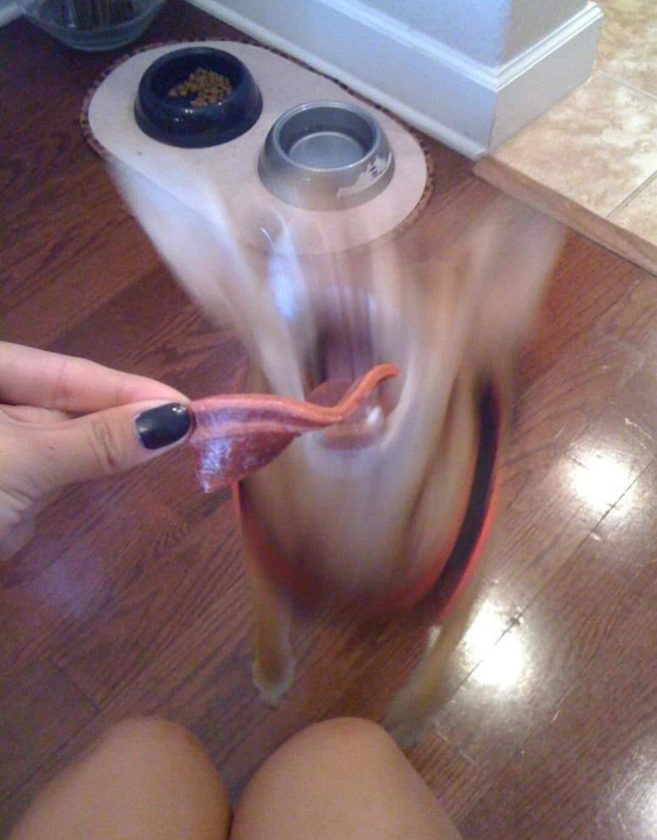 cursed images tweet media