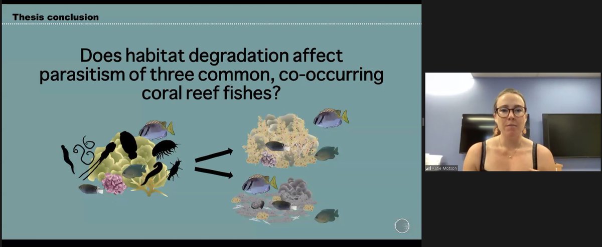 Jodi Thomas (@jodithea2) on Twitter photo Amazing PhD pre-completion seminar by <a href="/KMotson/">Katie Motson</a>! Very clear explanations, beautiful graphics and an enthusiastic and engaging presentation - well done! 🐟🪱
@CoralCoE Amazing PhD pre-completion seminar by <a href="/KMotson/">Katie Motson</a>! Very clear explanations, beautiful graphics and an enthusiastic and engaging presentation - well done! 🐟🪱
@CoralCoE