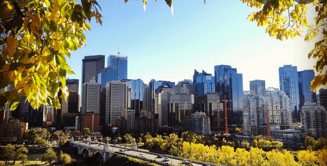 bcarpenterafs's tweet photo. I manged to capture a photo of the forthcoming Climate Emergency in Calgary. I apologize for the graphic image but the world needs to know https://t.co/M9KK5sLhRJ