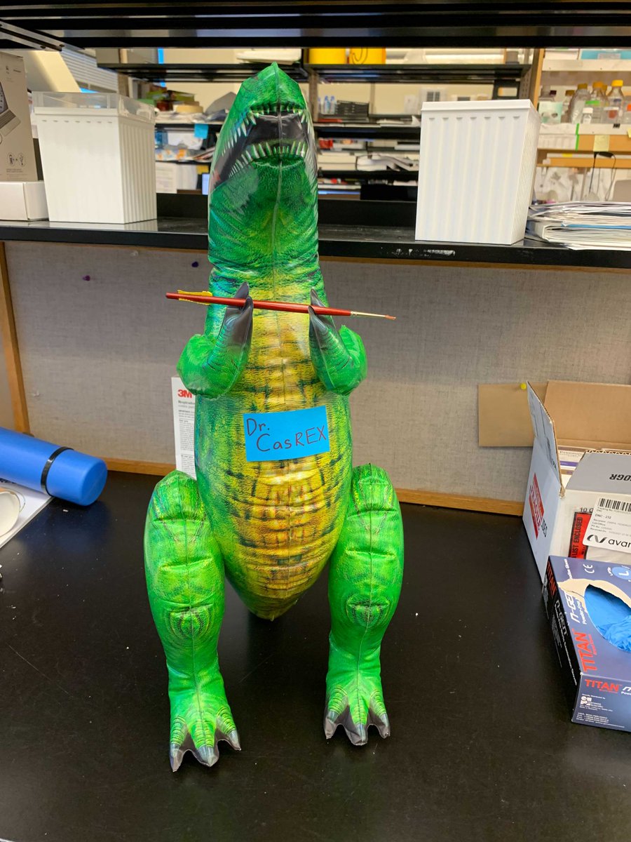 100jessduit's tweet photo. The next generation of RNA-targeting Cas proteins https://t.co/x6IjHGZ2Ph