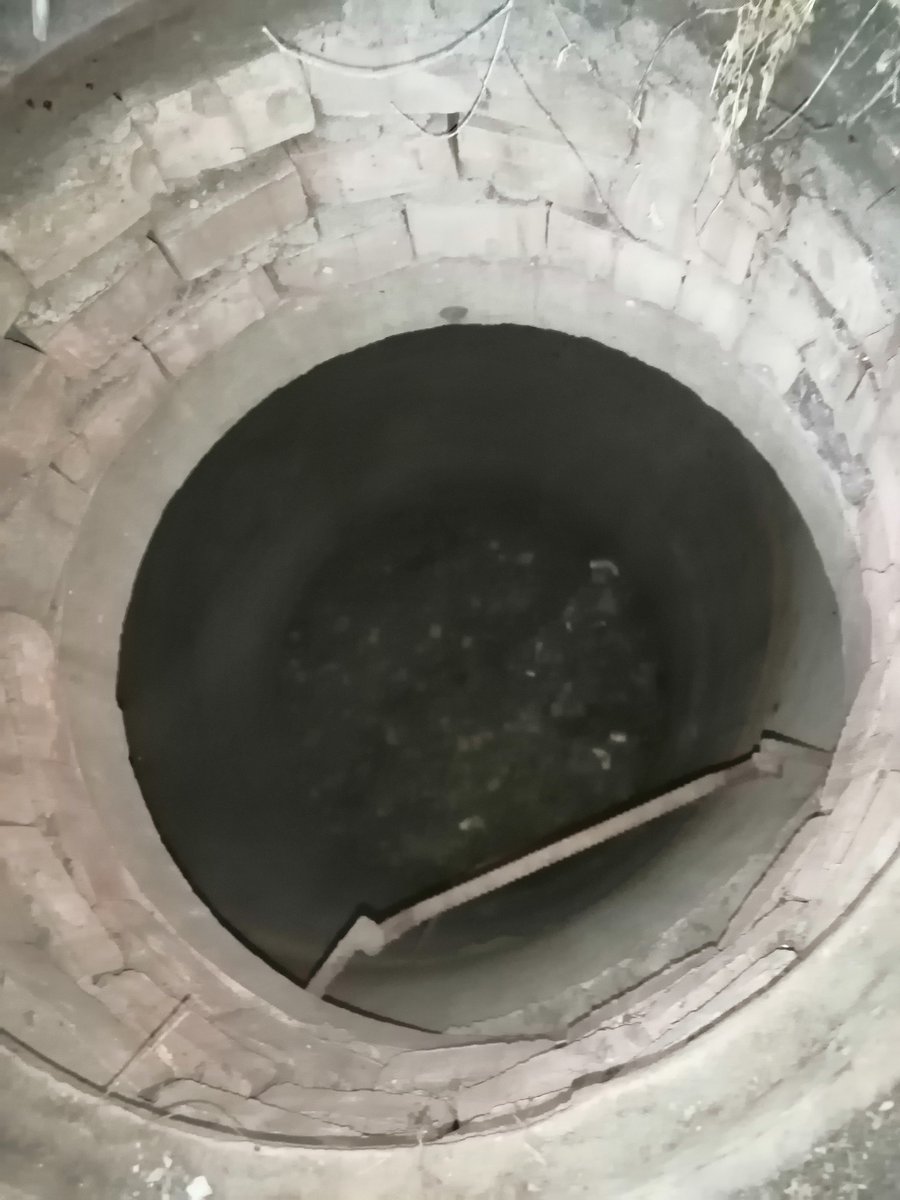 Alexander tweet media