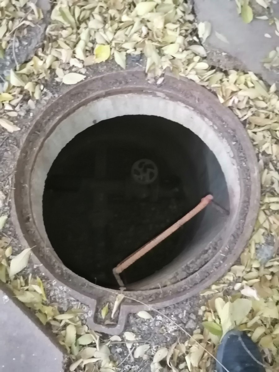 Alexander tweet media