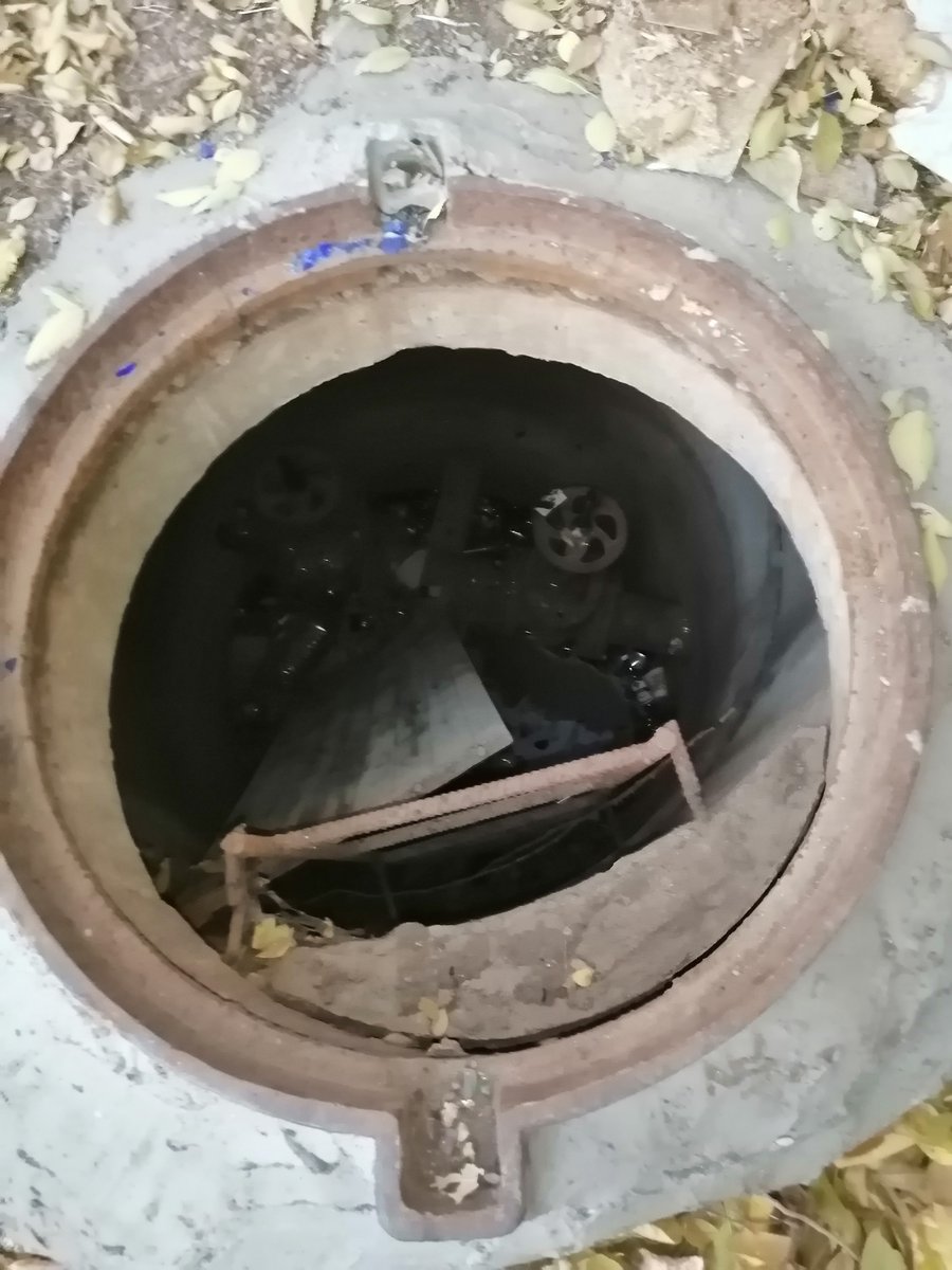 Alexander tweet media