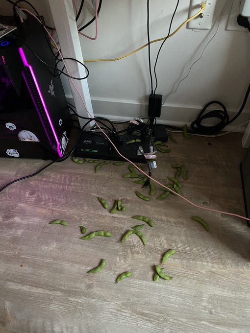 is this a sign that I need to do cable management https://t.co/NKHDlF5Q25<a href="/tag/throne"class="tags"><span>#throne</span></a><a href="/tag/wishlist"class="tags"><span>#wishlist</span></a>