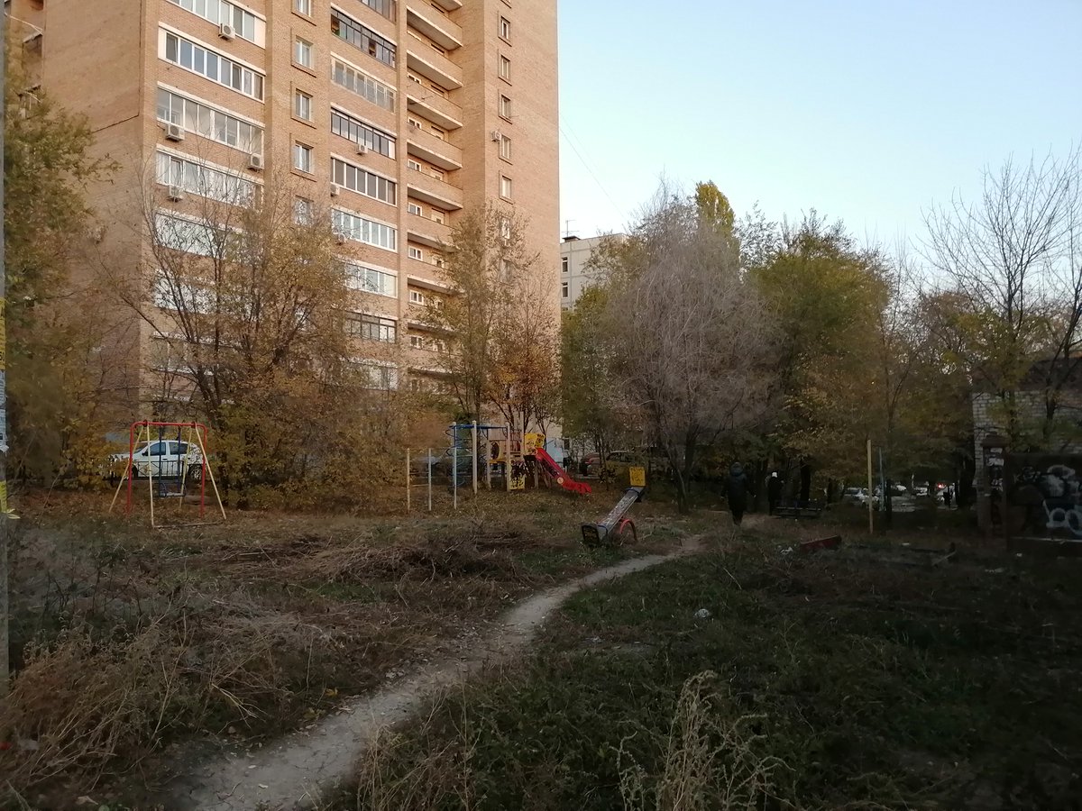 Alexander tweet media