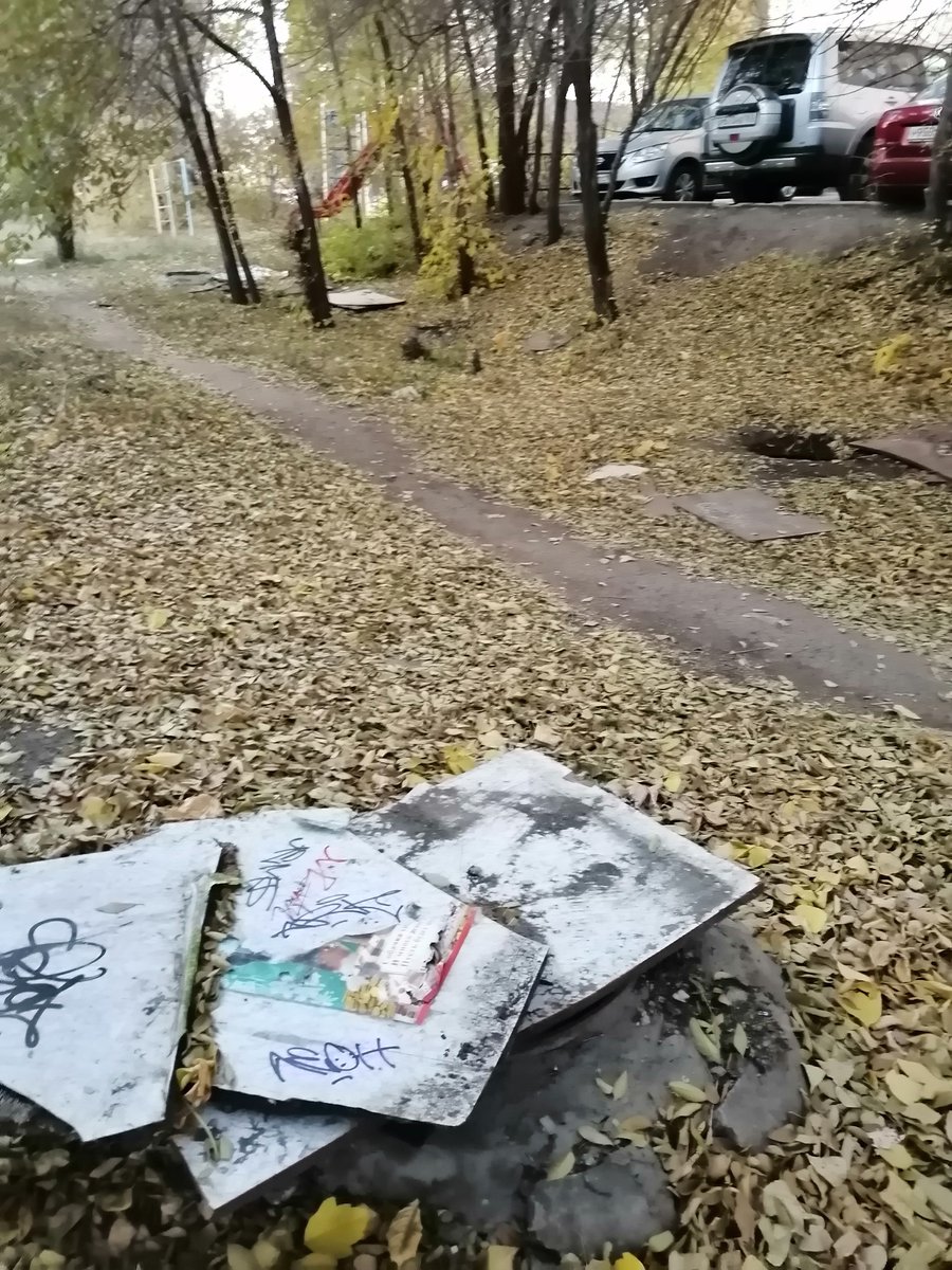 Alexander tweet media