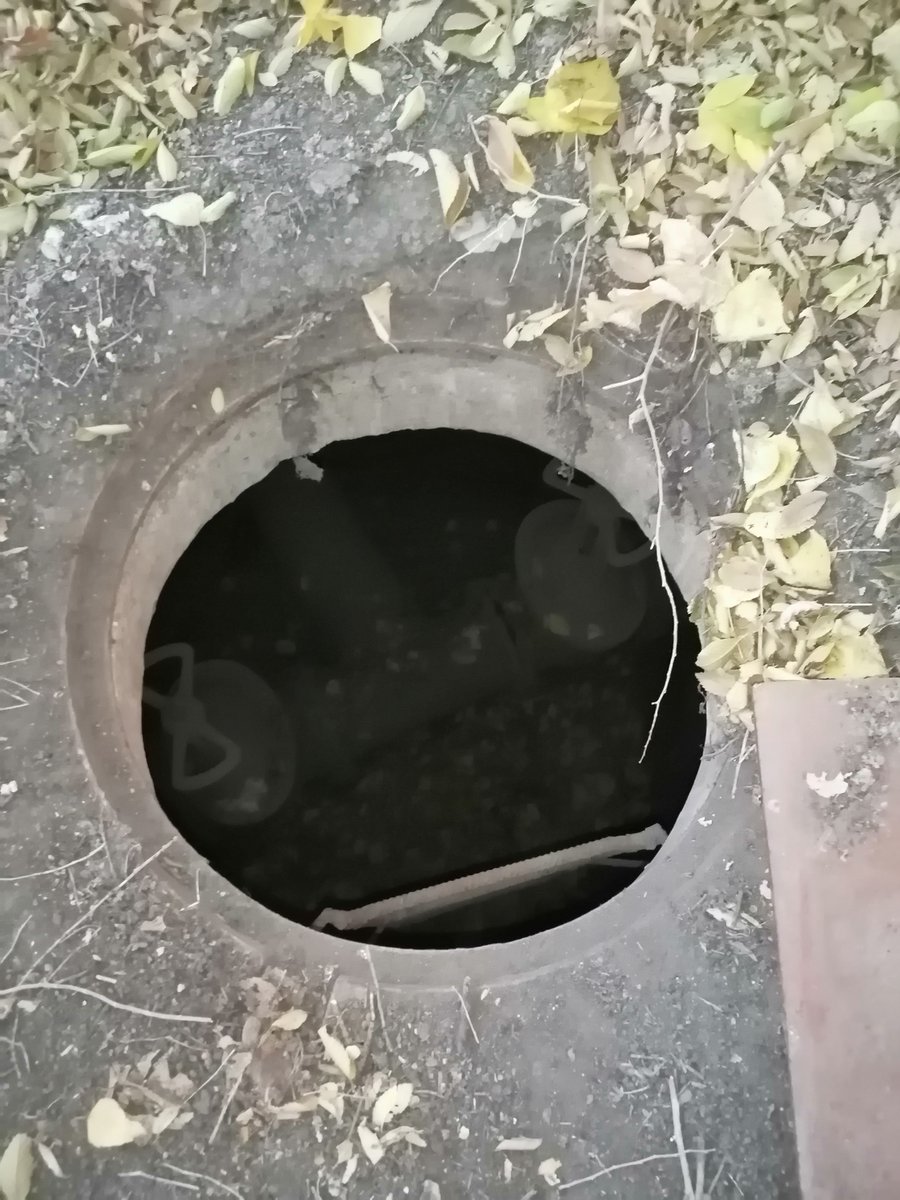 Alexander tweet media