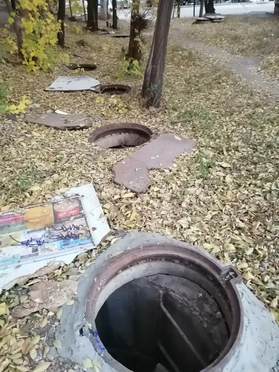 Alexander tweet media