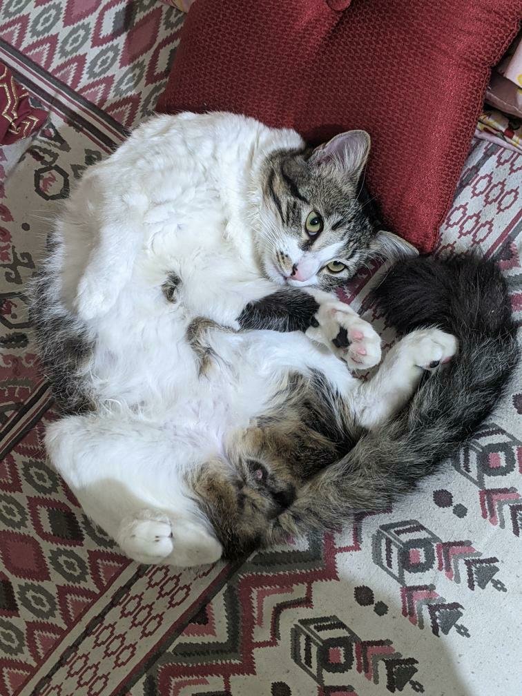 Nahim 🫡 tweet media