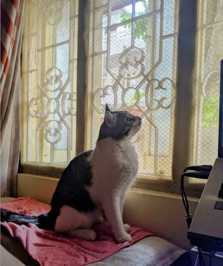 Nahim 🫡 tweet media