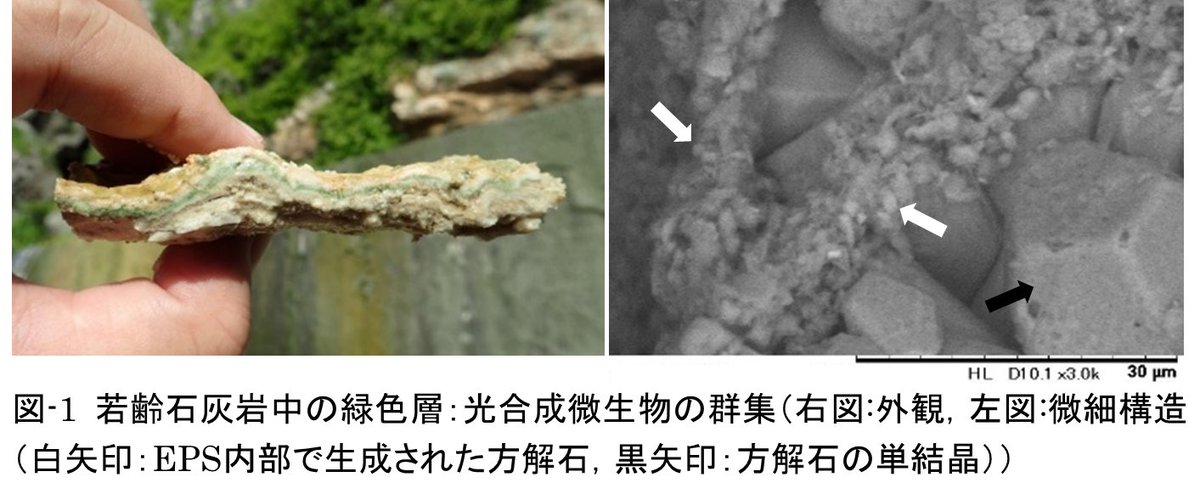 tec_u_ryukyu's tweet image. 【R3-No.13】研究紹介：光合成微生物を利用した斜面安定化技術の創生
tec.u-ryukyu.ac.jp/infomation/202…