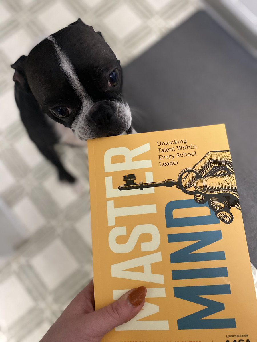 Look what finally arrived in the mail today! @alienearbud, Ollie and Phoebe have given their official paw prints of approval 🐾 #Mastermind