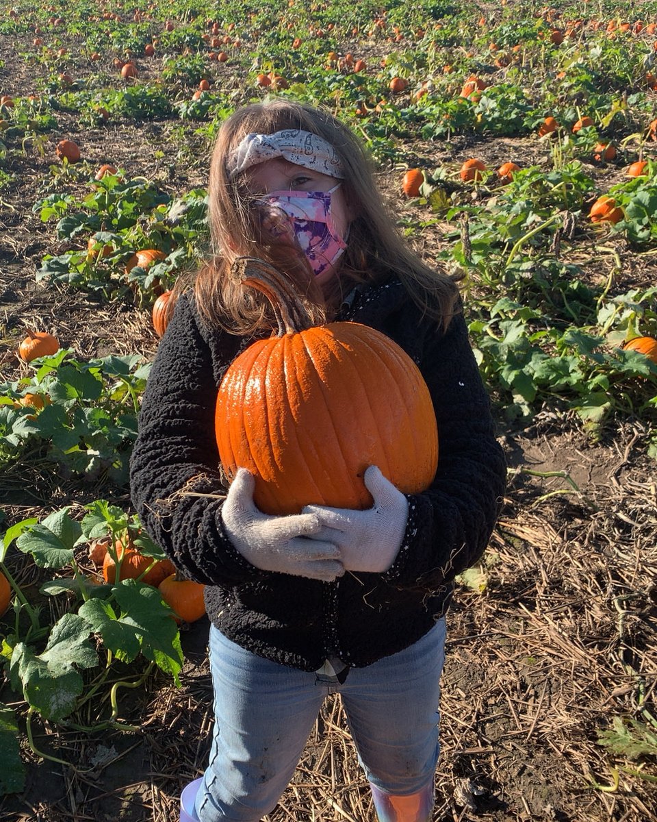 dckep's tweet photo. We had the best day at Kregel’s in Lowell yesterday! It was great to finally go on a field trip with these little learners! #myjblions #haopyclassrooms #pumpkinpatchfun https://t.co/WoZT0dDFkE