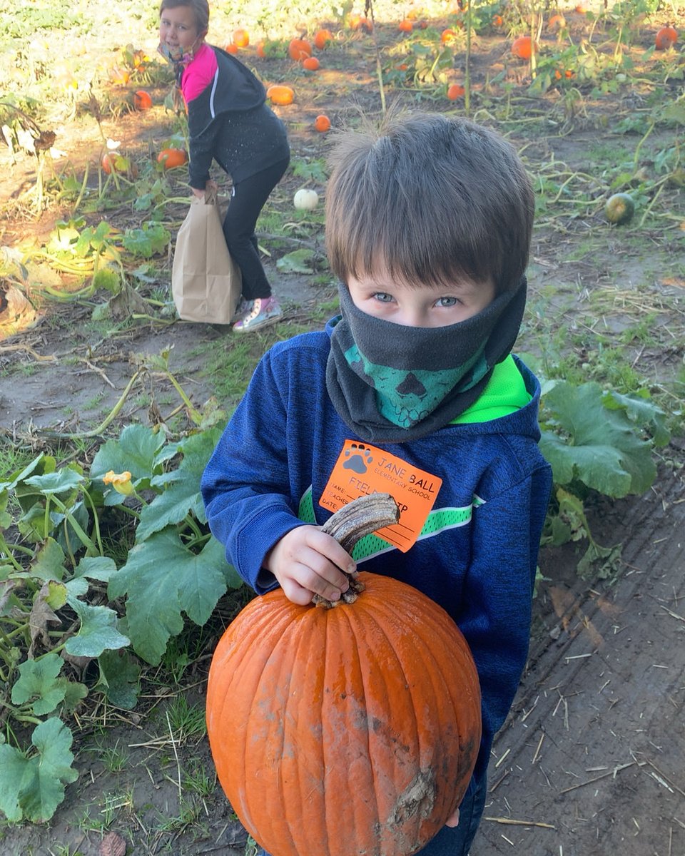 dckep's tweet photo. We had the best day at Kregel’s in Lowell yesterday! It was great to finally go on a field trip with these little learners! #myjblions #haopyclassrooms #pumpkinpatchfun https://t.co/WoZT0dDFkE