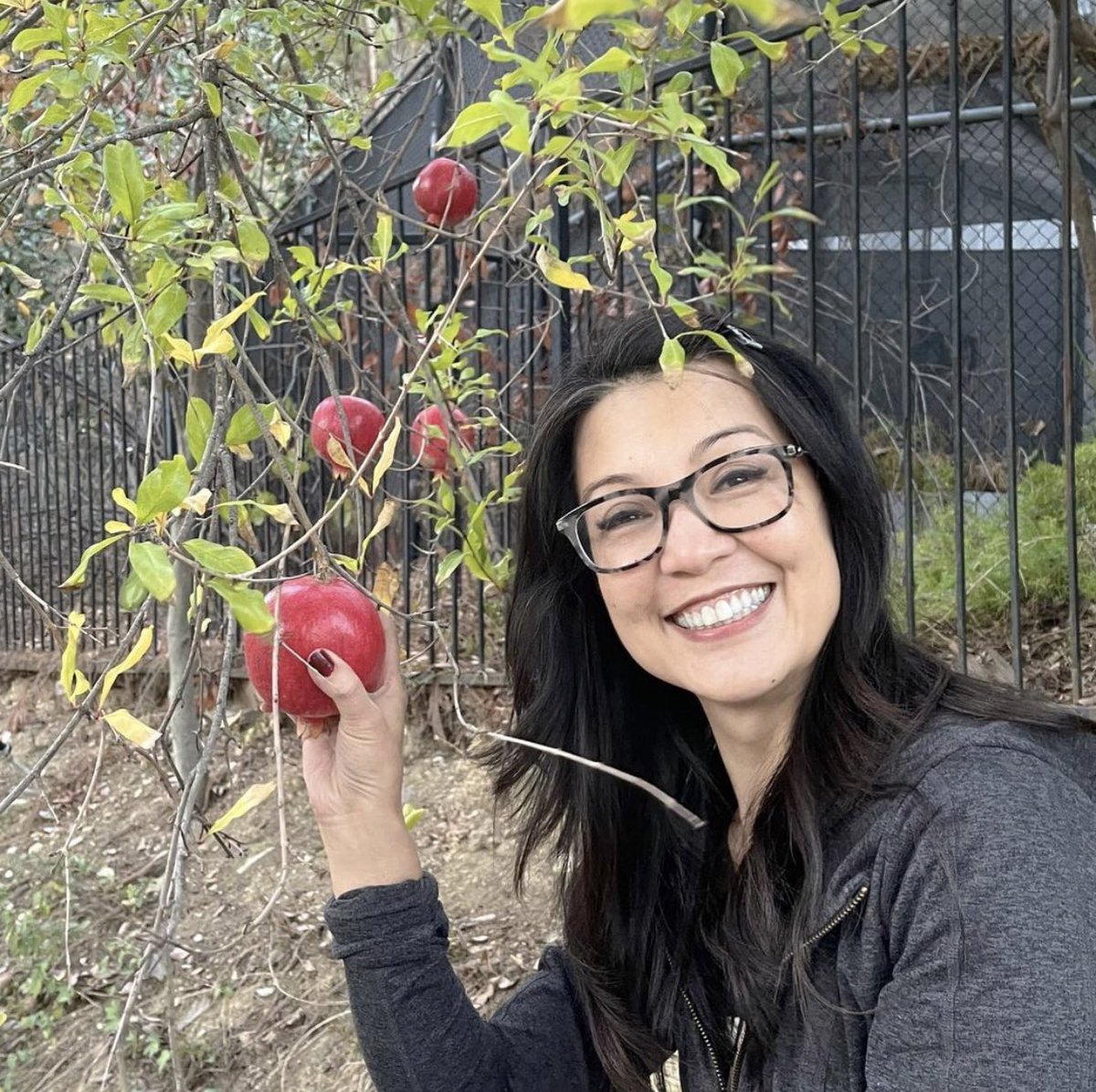 MingNaWenU's tweet image. 📸| @WenEverbyMingNa (@MingNa) on IG 

“It’s pomegranate picking season!

I look forward to this every year! 

So rich in nutrients and anti-oxidants. Best of all, they are yummy and fun to eat.”

#wenever #wenevermingnawen #mingnawen #mingna