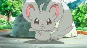 twinklecat_1016 tweet picture