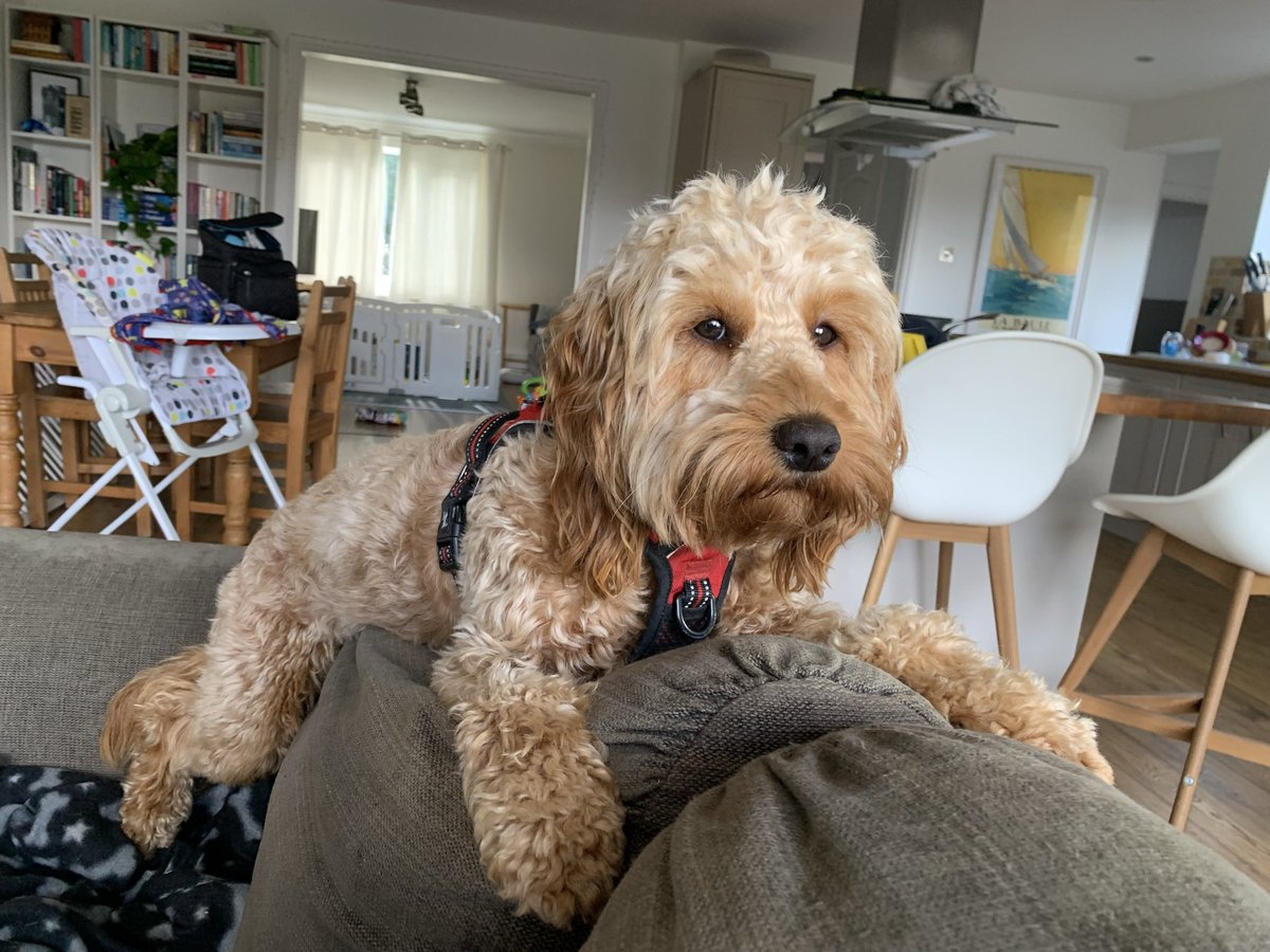 Stuart Noble tweet media