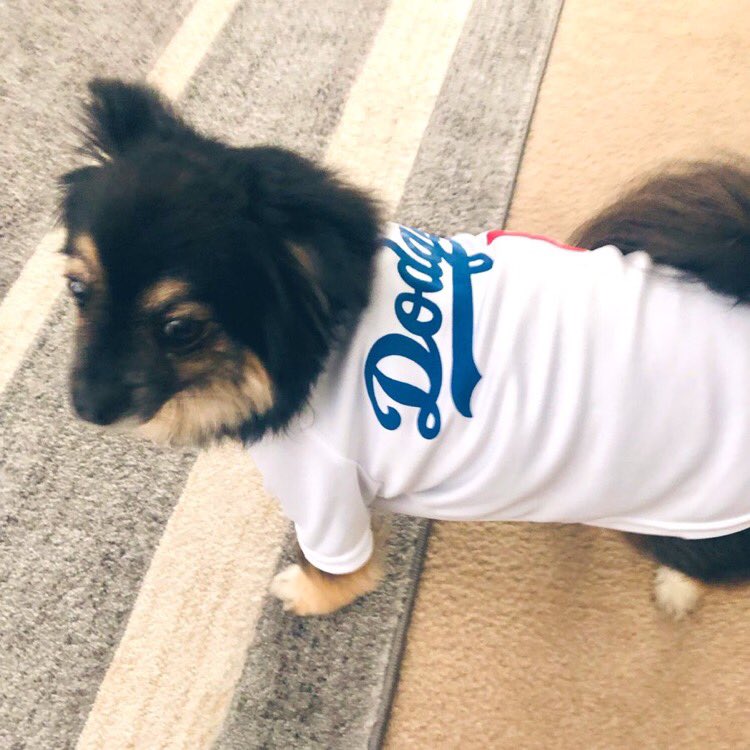That last game was Pawsome! #KTLADodgers